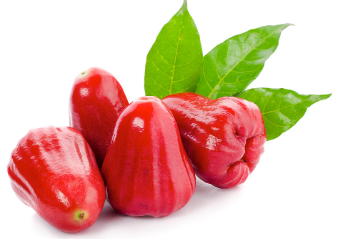 Rose Apple 1kg Rose Apple 1kg