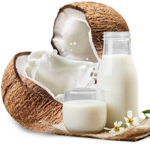 Coconut Milk