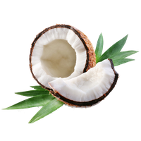 Coconut