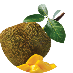 Jackfruit 1kg